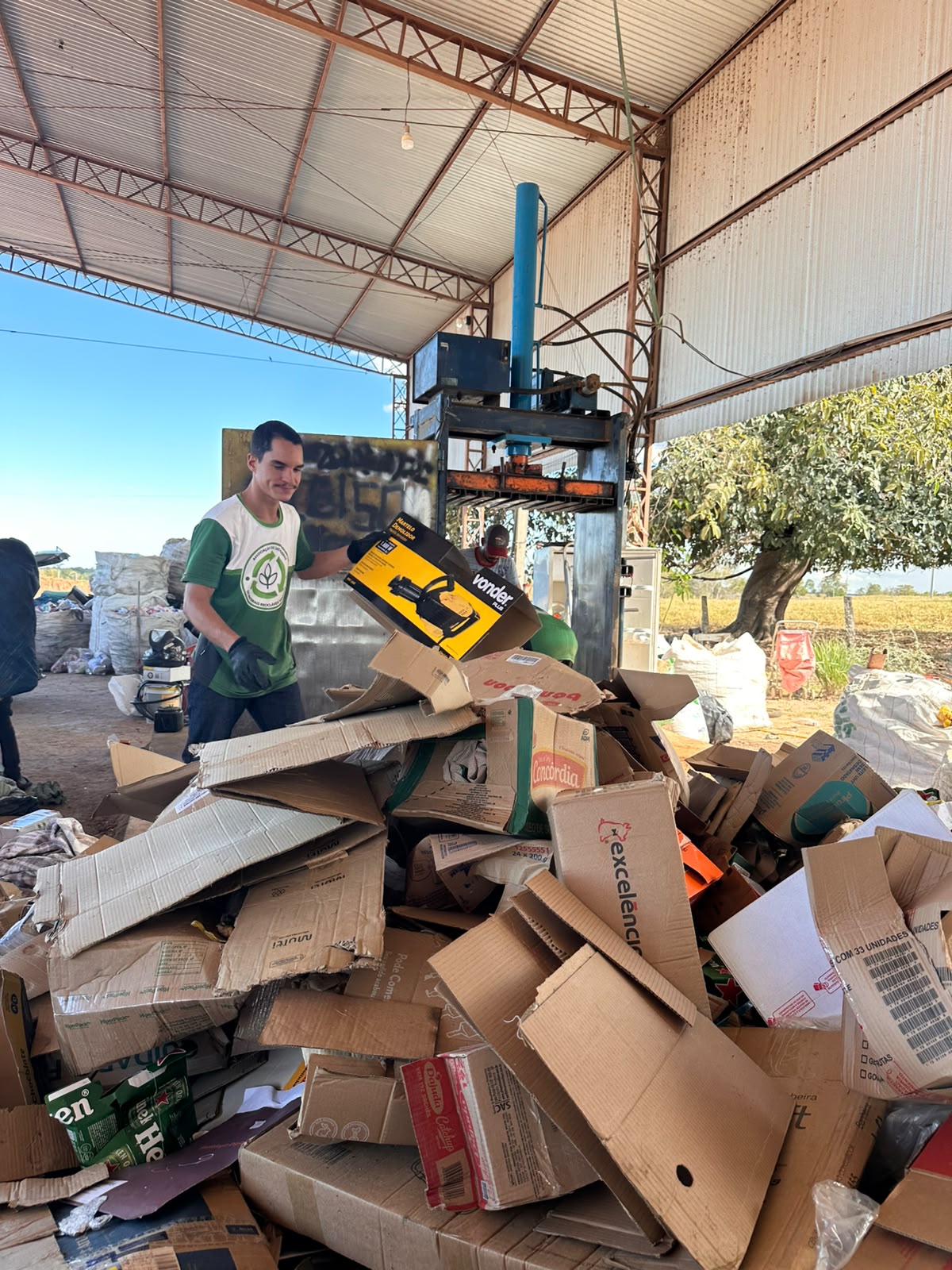 Colaborador separando caixas de papelão para processamento